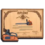 Illustration d’un diplôme avec une tronçonneuse représentant une équipe diplômée et certifiée chez A Bout de Branche.